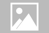 爱游戏app-Faker重要时刻夺冠，G2带队取胜！-爱游戏app